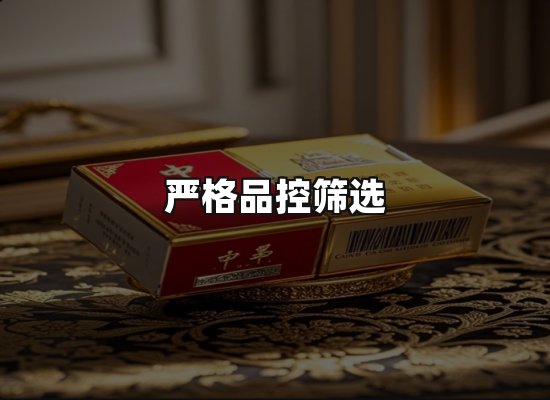 专业优势